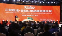 云阳新闻爆料最新消息,最新爆料揭示重大事件进展！