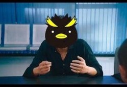 企鹅吃瓜免费,揭秘动物界的趣味生活瞬间